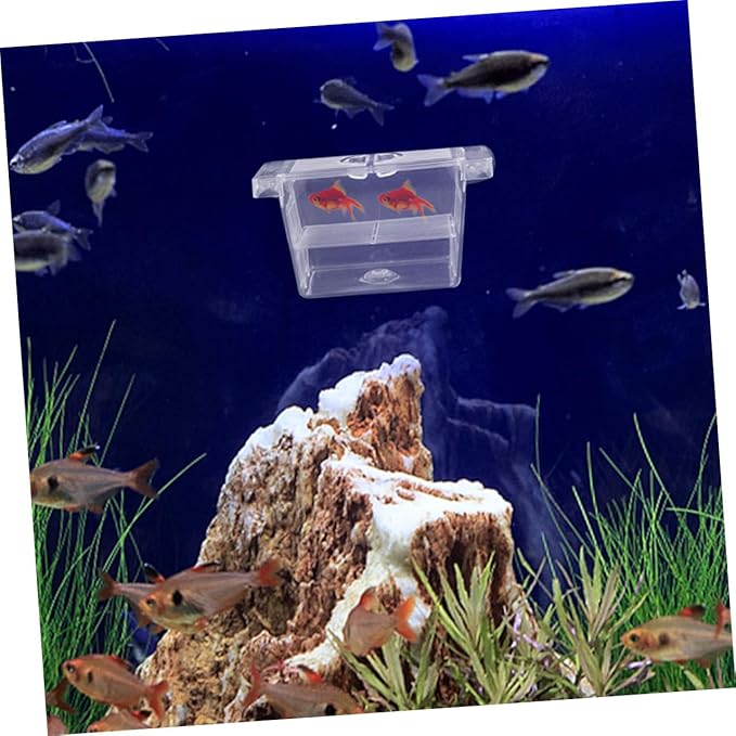 Happyyami 4pcs Floating Fish Breeding Box Plastic Separator Incubator Dual-Layer Betta Fry Hatchery Isolation Case Aquarium Fish Tank Accessory for Aquarium Breeding