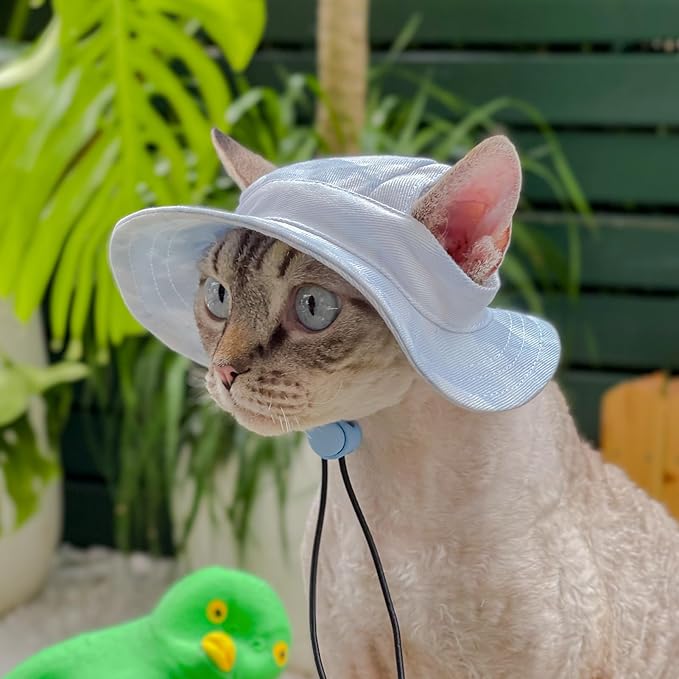 Pet hat with Ear Holes Sunscreen Baseball Cap Suitable for Small and Medium-Sized Dogs Outdoor Climbing hat in Summer Pet Products (Blue, Small)
