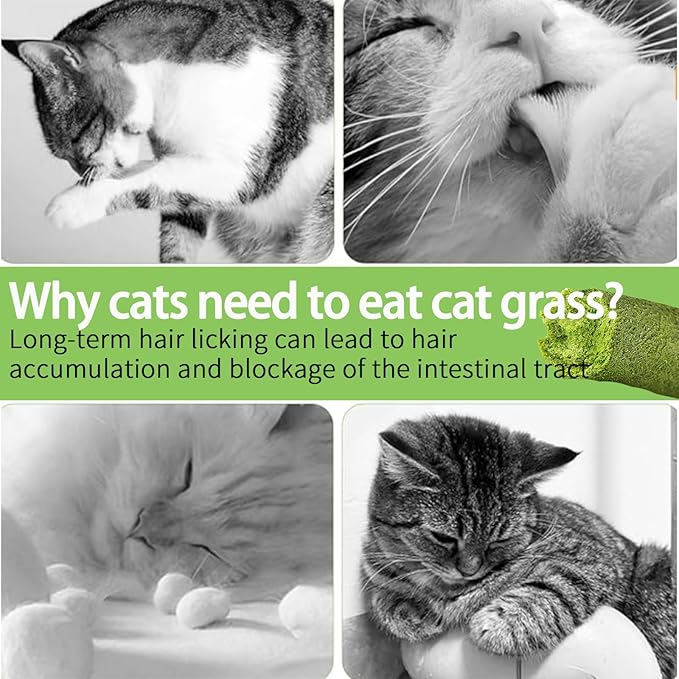 Meowly 110g Cat Grass ﻿Sticks for Cats, Natural Chicken Flavored Cat Grass ﻿Sticks for Teeth Cleaning and Hairball Remedy