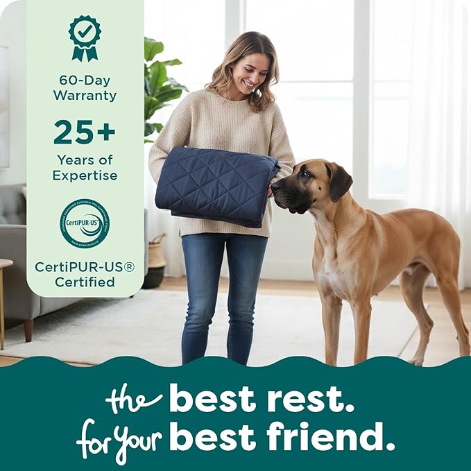 FurHaven Dog Bed Cover Replacement, Sofa-Style Design with Soft Quilted Sleep Surface for Cozy Comfort, Machine Washable, Jumbo Plus XXL, Quilted Fabric, Navy Blue