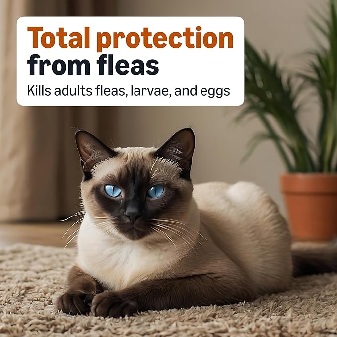 Amazon Basics Topical Flea Treatment for Medium Cats (5-9 Pounds), 4 Count, Packaging May Vary