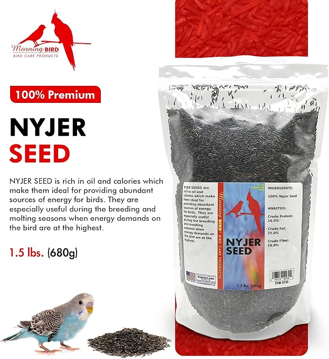 Morning Bird Nyjer Seed for Birds 1.5 lbs – Energizing Nutrition with Rich Natural and Healthy Fats – Ideal Bird Food for Breeding & Molting – Great for Canaries, and Other Seed-Eating All Birds