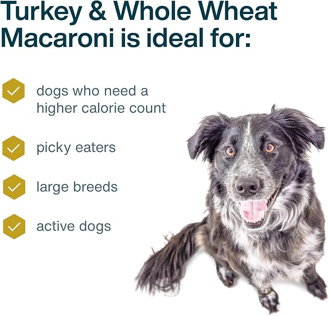JustFoodForDogs Pantry Fresh Wet Dog Food Complete Meal or Dog Food Topper, Turkey & Whole Wheat Macaroni Human Grade Dog Food Recipe - 12.5 oz (Pack of 12)