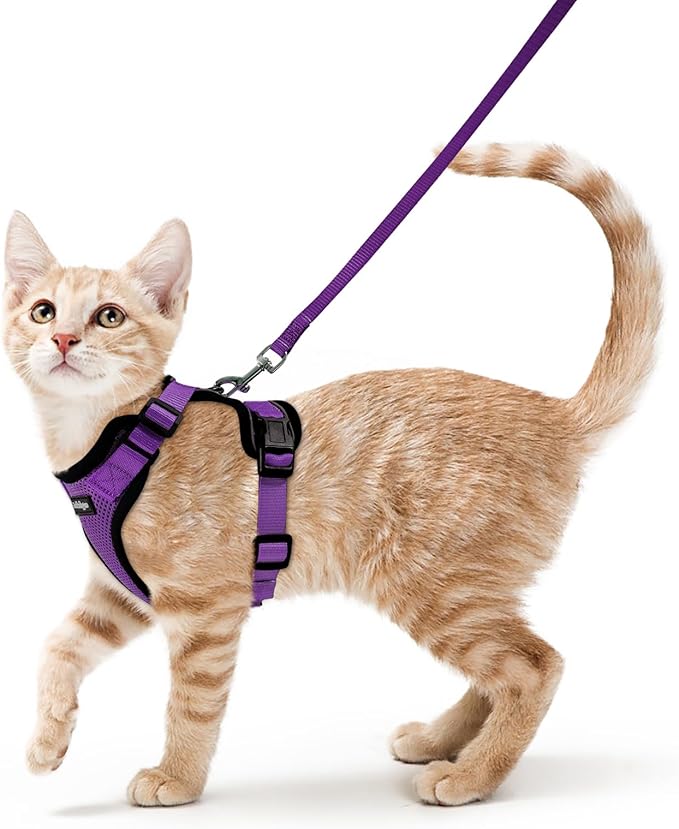 rabbitgoo Cat Harness and Leash for Walking, Escape Proof Soft Adjustable Vest Harnesses for Cats, Easy Control Breathable Reflective Strips Jacket, Purple, S