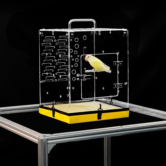 GuineaLoft™ Acrylic Bird Cage Model-ETO, Crystal Clear, 360° Panoramic View, Portable & Easy Clean Design with Canvas Bottom- Visit The GuineaLoft Store