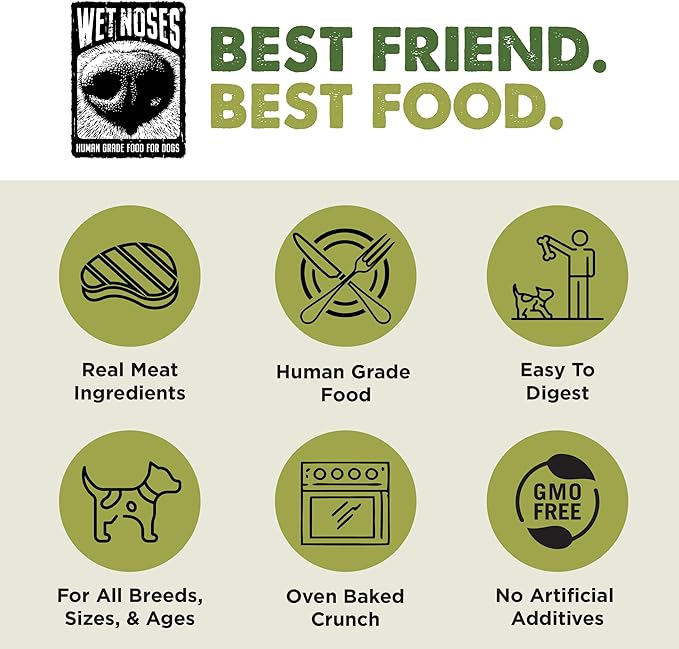 Wet Noses Organic Crunchy Dog Treats – All-Natural, Human-Grade, Non-GMO, Healthy Training & Delicious Snacks for Dogs, for All Dog Sizes & Breeds –Roasted Beef, 14oz (2 Pack)
