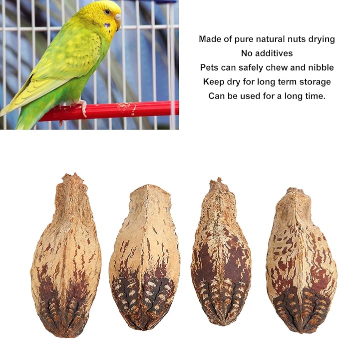 Parrot Chew Nuts, Natural Dried Nut Treats, 5 Bags - Boredom Relief, Mouth Sharpening, Home Decorative Pet Toy for Birds