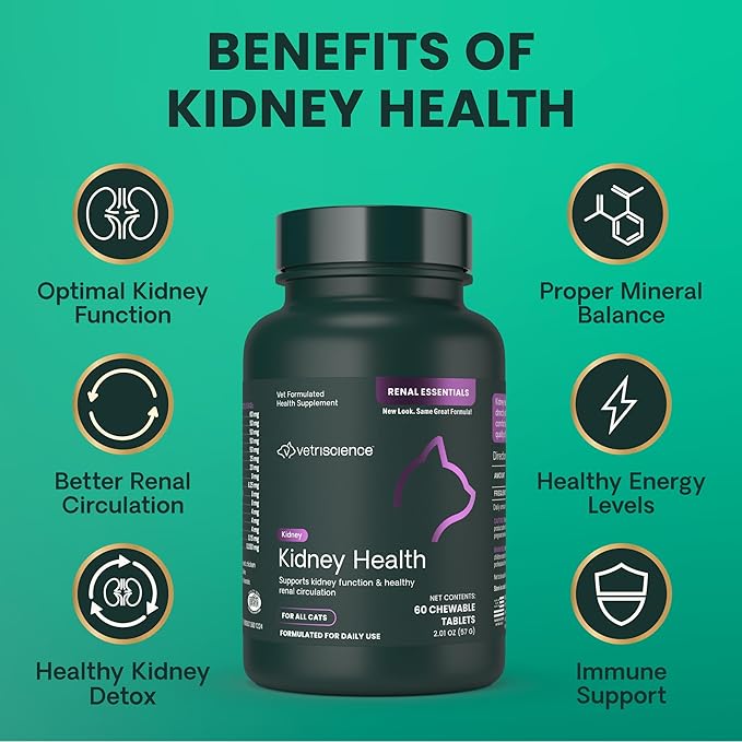 VetriScience Kidney Health Chewable Tablets, Renal Essentials Supplement for Cats, Kidney Care and Support with Mushroom, Astragalus Root, Nettle Seed and Herbs, Chicken and Fish, 60 Count