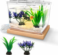 Mini Betta Fish Tank Kit with LED Light Base, Small Fish Bowl for Temporary Space, 0.2 Gallon Stackable Cube Tank with Artificial Plants for Small Fish, Insect, Shrimp, Crab, Spider (Kit-2)