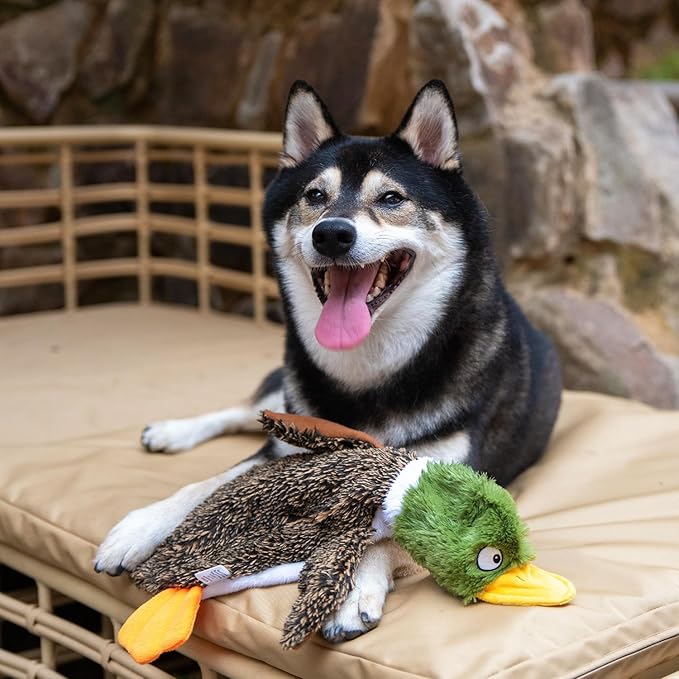 Best Pet Supplies Squeaky Dog Toys with Soft Durable Fabric for Small, Medium and Large Pets Interactive Toy for Indoor Play, Supports Active Biting and Play - 1Wild Duck, Medium