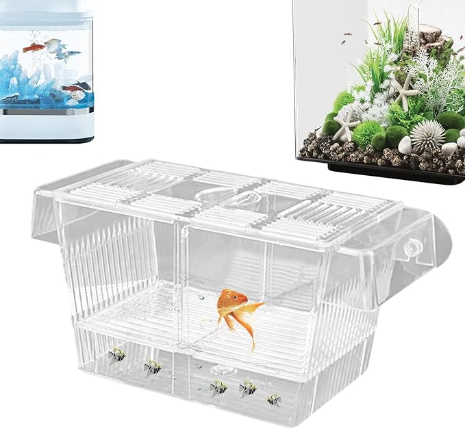 1/2 Fish Acclimation Box - Acrylic Hatchery Incubator Tank, Fish Breeder Box with 2 Suction Cups | Easily Install Breeding Isolation Box, Floating Breeding Box for Baby Fishes Shrimp Betta Guppy