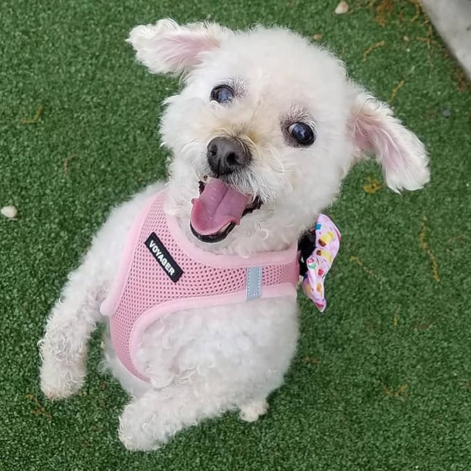 Best Pet Supplies Voyager Step-in Air Harness - All Weather Mesh, Reflective, No Pull Harness for Dogs, Cats - Secure with Hook & Loop Fastener, Buckle, Double D-Rings - Pink, XS