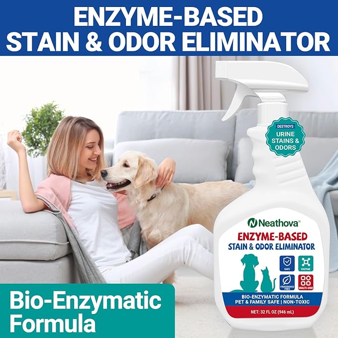 Stain & Strong Odor Eliminator, Enzyme Cleaner, Pet Odor Eliminator for Home - Carpet Stain Remover for Cats & Dog Pee - Urine Destroyer - Carpet Cleaner Spray Clear (Unscented)