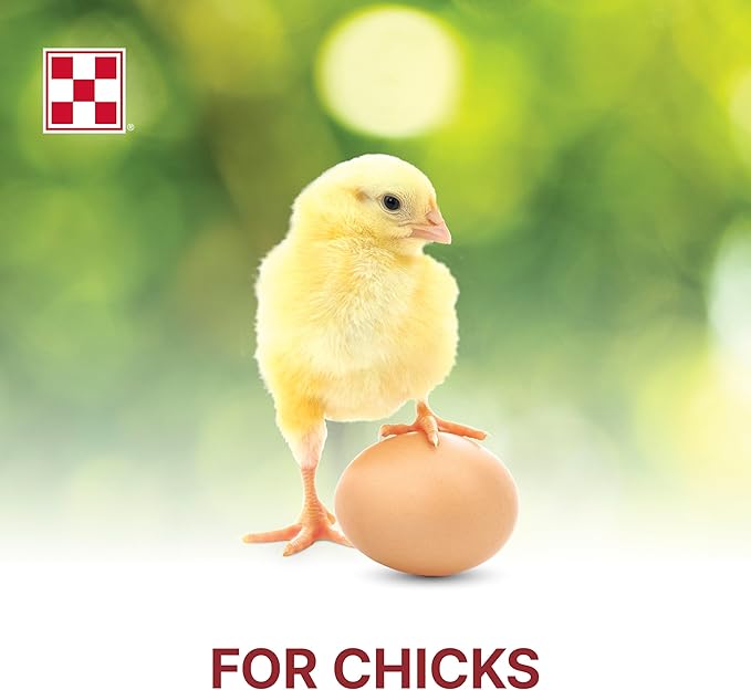 Purina Start & Grow | Nutritionally Complete Medicated Chick Feed Crumbles | 5 Pound (5 lb.) Bag
