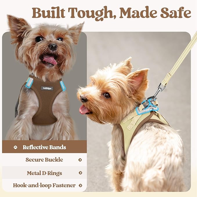 rabbitgoo Dog Harness Small Sized and Leash Set, Step in Soft Light Puppy Vest, Breathable Mesh Pet Harness, Reflective for Safe Easy Walking, Brown & Beige XXS