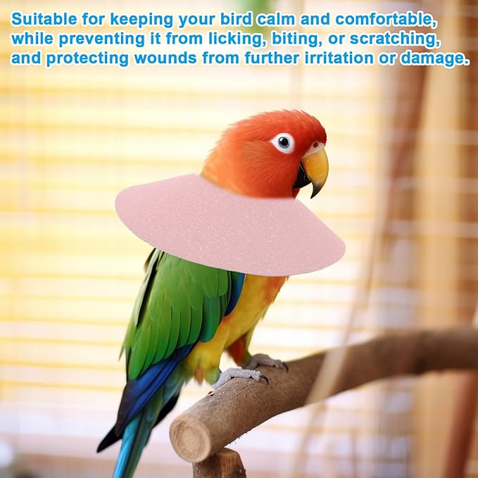 4pcs Bird Cone Collars, Anti-Grab Anti-Bite Bird Elizabethan Collars Parrot Cones for Lovebird Agapornis Budgerigar Cockatiel Cockatoo, Neck Safe Wound Safety