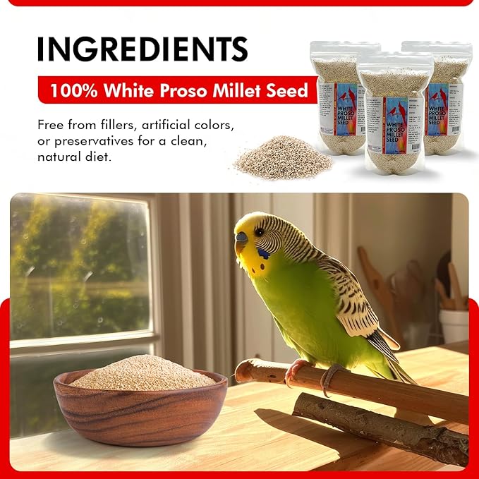 Morning Bird White Proso Millet 4.5 lbs (3-Pack, 1.5 lbs Each) Natural Bird Seed – Supports Feather Growth & Balanced Nutrition – High Energy Delicious Seed - Ideal for Finches, Parakeets & Pet Birds