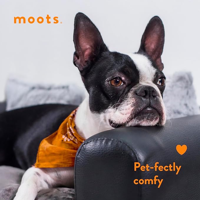 Moots Premium Leatherette Pets Sofa, Espresso, Small
