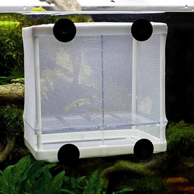 Hobby Nido 3.1, Ablaichbehlter, 16x16x14 cm, Plastic Fish Breeding Tank, Vivarium Brood Box