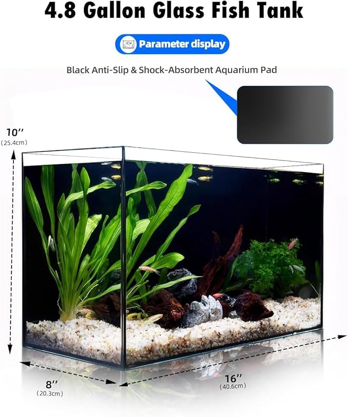 5 Gallon Fish Tank 4.8 Gallon, Small Aquarium Fish Bowl Ultra Clear Rimless Design for Betta Goldfish Snails Shrimp Aquatic Planting