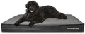The Dog’s Bed Orthopedic Memory Foam Dog Bed Mattress, Plush Fabric, Grey Plush, XXXL, 6-Inch