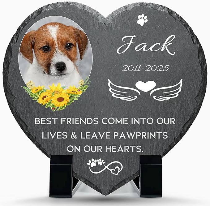 Alienc Personalized Pet Memorial Stone – Custom Dog & Cat Memorial Gifts for Loss, Outdoor Pet Grave Marker, Sympathy Keepsake for Dogs and Cats