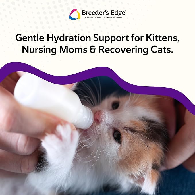 Breeder’s Edge Kitten Lyte, Electrolyte Supplement for Kittens and Nursing Cats, Supports Hydration, Energy & Recovery, Chicken Soup Flavor, 300g