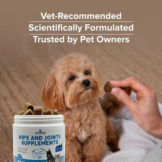 Dog Hip and Joint Supplement Soft Chews – Supports Mobility, Flexibility & Cartilage Health – Helps Relieve Joint Stiffness & Arthritis – Daily Joint Support for Dogs of All Breeds