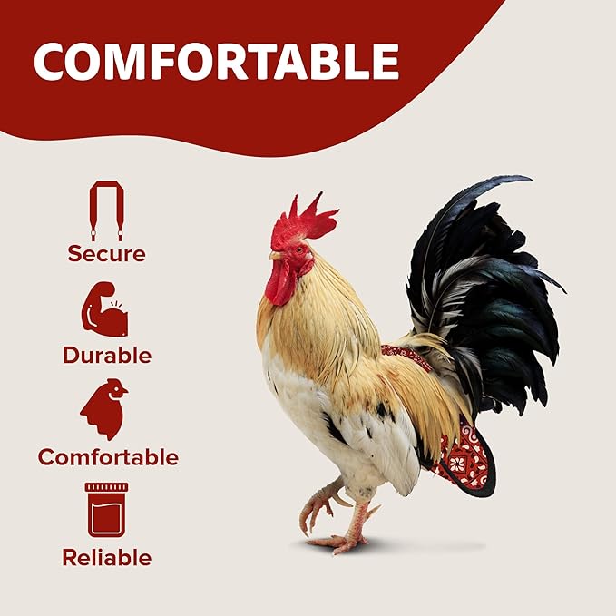 Hen Holster Wrap-Around Bird Diaper & Harness for Hens, Roosters, Ducks - with Removable Vinyl Liner, Adjustable Fit for Outdoor Adventures & Indoor Use - Easy to wear - Large, Red Bandana
