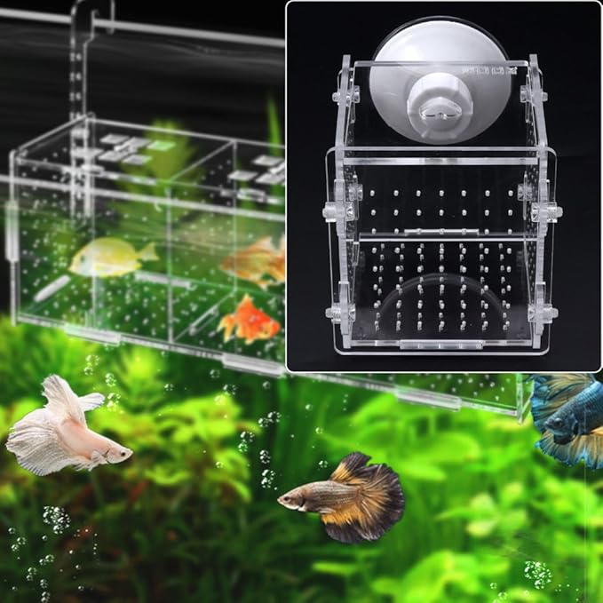 Fish Breeding Box Clear Acrylic Fish Isolation Boxes Aquarium Hatchery Incubator with Suction Cup for Newborn Shrimp