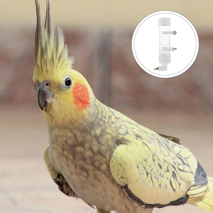 Balacoo Automatic Parrot Water Dispenser: Parakeet Water Bottle for Cage - Bird Drinker Bowl Fountain for Budgie Cockatiel Lovebirds Canary Finch, Bird Cage Accessories(White)