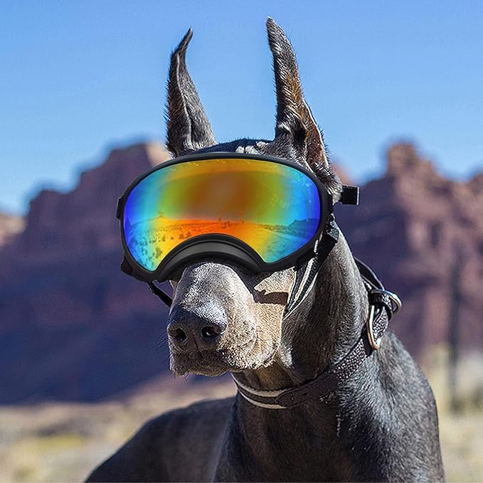 Pacify Dog Goggles for Large Dogs, UV Protection Dog Sunglasses with Adjustable Strap for Medium Large Dog Pet Glasses