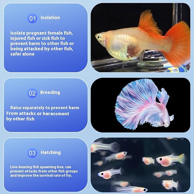 Net Breeding Box Floating Hatchery Incubator Quick Setups in Tanks Multipurpose Fish Shrimp Habitat Mesh Breeding Habitat