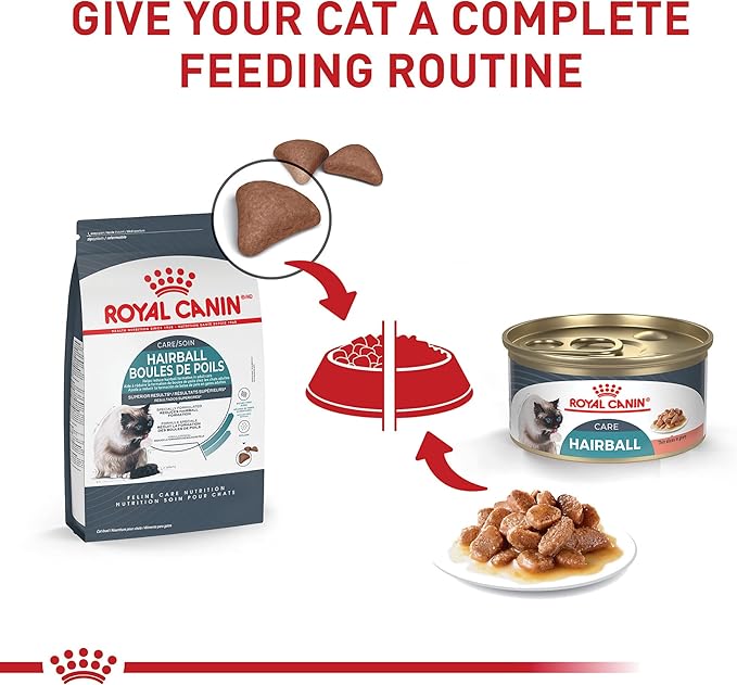Royal Canin Feline Care Nutrition Hairball Care Adult Dry Cat Food, 6 lb Bag