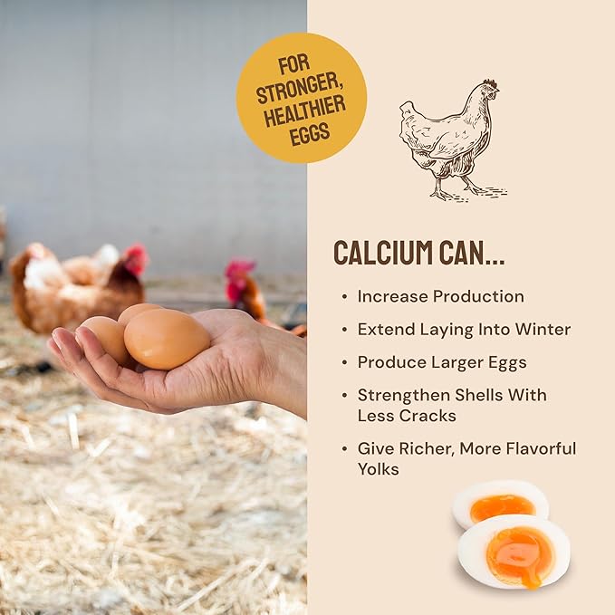 Hatortempt Chicken Feed Supplement - High-Protein Foraging Mix - Poultry Treats for Chickens - Calcium-Rich Poultry Grit for Shell Support - Dried Mealworms & Grubs for Enrichment - Bird Food (5lb)