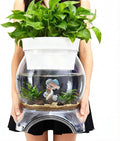 Geelin 3 Gallon Plastic Aquaponic Betta Fish Tank Aquaponic with Base and Top, Small Bowl Shatterproof Ecosystem Aquarium with Clear Clarity for Terrarium, Flower Vase Betta Fish Centerpiece Gifts