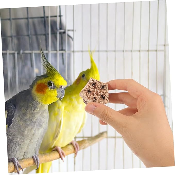 12pcs Parrot Beak Fruit Chewing Treats Bird Toys for Parrots Foraging Toy for Conure