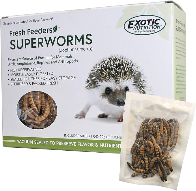 Fresh Feeders (Superworms) - All Natural High Protein Insect Treat - Single Serving Pouches - Chickens, Wild Birds, Hedgehogs, Bluebirds, Reptiles, Sugar Gliders, Opossums, Skunks, Lizards