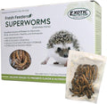 Fresh Feeders (Superworms) - All Natural High Protein Insect Treat - Single Serving Pouches - Chickens, Wild Birds, Hedgehogs, Bluebirds, Reptiles, Sugar Gliders, Opossums, Skunks, Lizards