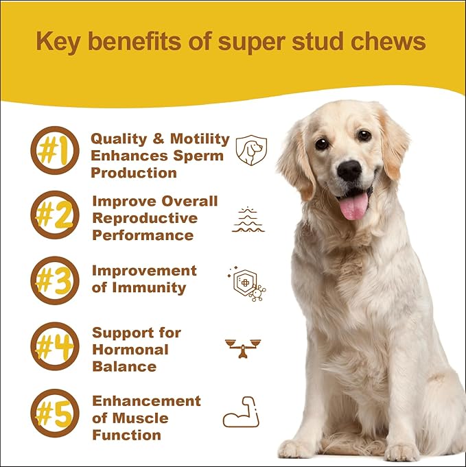 Reproductive Health Supplement for Dogs – Fertility & Breeding Support Chews with L-Carnitine, Zinc, Ginseng & Vitamins – Boosts Reproductive Cells, Testosterone & Vitality – 120 Soft Chews