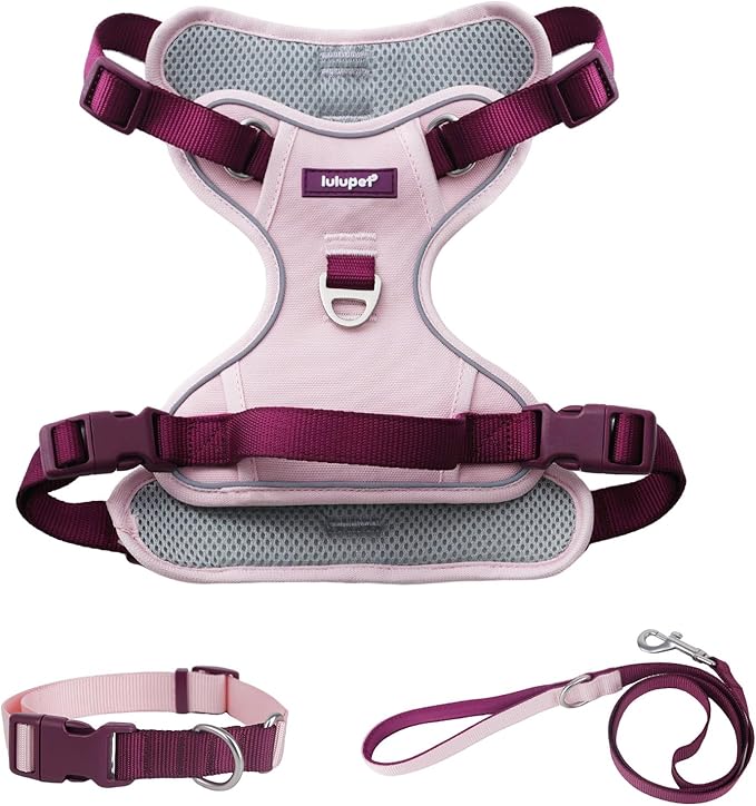 No Pull Dog Harness Leash and Collar Set, Soft Adjustable Dogs Vest Reflective and Comfortable Handle Pink Small