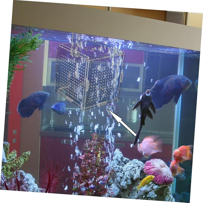 YARNOW 2 Sets Fish Breeding Tanks Home Fish Breeding Box with Suction Cups Hooks
