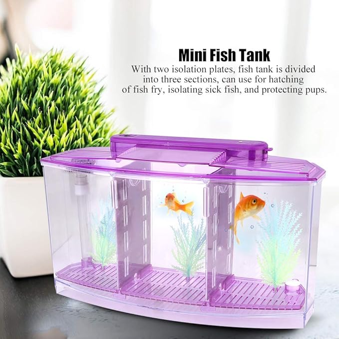 Three Areas Small Aquarium, Transparent Fish Tank, Desktop with Water Change Valve with LED Light for Betta Small Fishes(Purple)