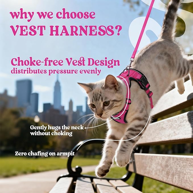 rabbitgoo Cat Harness and Leash for Walking, Escape Proof Soft Adjustable Vest Harnesses for Cats, Easy Control Breathable Reflective Strips Jacket, Rose Red,S
