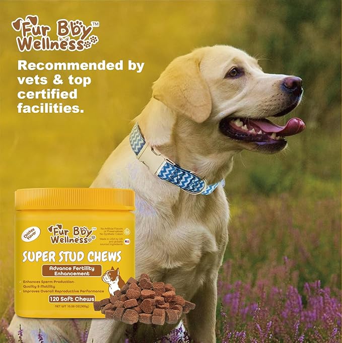 Reproductive Health Supplement for Dogs – Fertility & Breeding Support Chews with L-Carnitine, Zinc, Ginseng & Vitamins – Boosts Reproductive Cells, Testosterone & Vitality – 120 Soft Chews