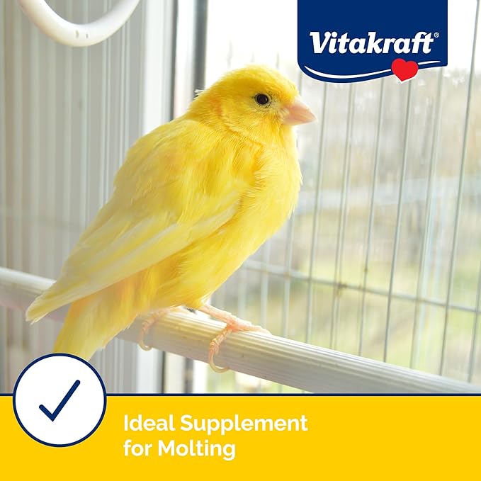 Vitakraft VitaSmart Egg Food for Birds - Daily Supplement for Parrots, Parakeets, Cockatiels, and Canaries - Bird Calcium Supplement 1.1 Pound (Pack of 1)
