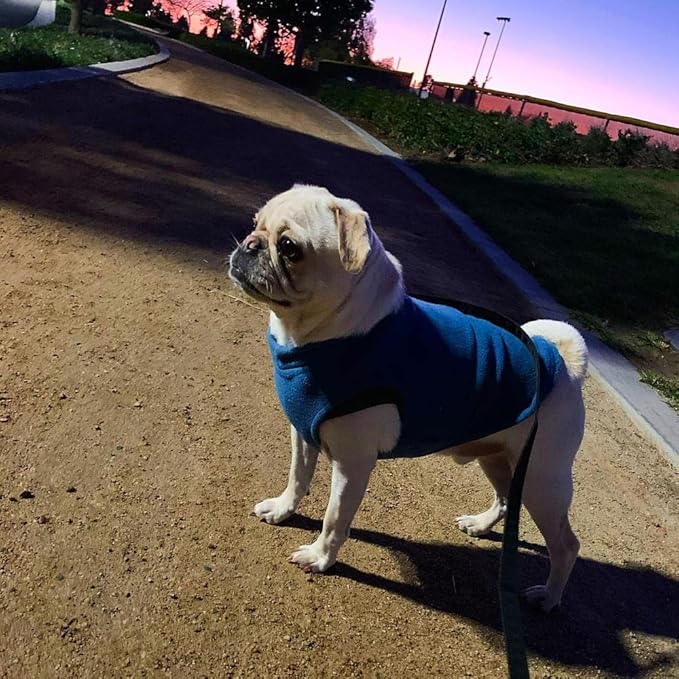 Gooby - Stretch Fleece Vest, Pullover Fleece Vest Jacket Sweater for Dogs, Steel Blue, X-Large