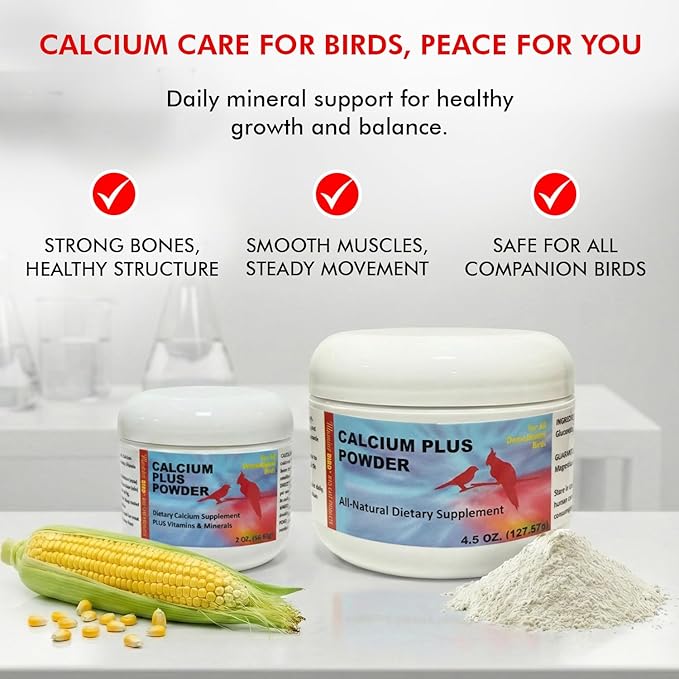 Morning Bird Calcium Plus Powder for Birds 2 oz – Calcium Supplement with Vitamin & Protein Powder – Supports Bone Health, Muscle Function & Digestive Balance – Easy-to-Mix Calcium Formula