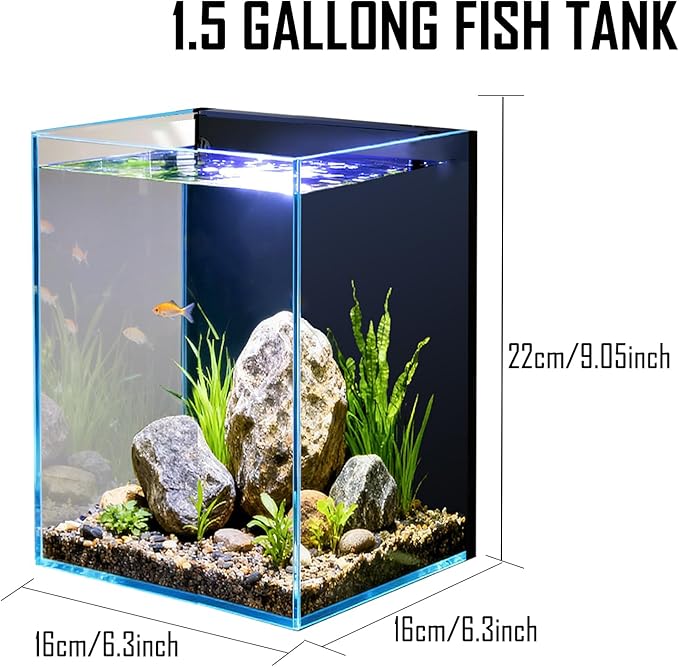 1.5 Gallon Fish Tank Starter Kits, Nano Glass Aquarium with Filter, Led Light for Aquascape DIY Small Betta Fish Tank