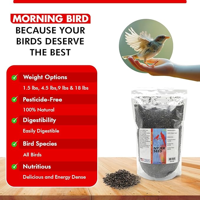 Morning Bird Nyjer Seed for Birds 1.5 lbs – Energizing Nutrition with Rich Natural and Healthy Fats – Ideal Bird Food for Breeding & Molting – Great for Canaries, and Other Seed-Eating All Birds